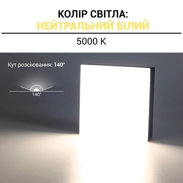 LED світильник накладний Biom 6W 5000K IP40 квадратний чорний (NL-2-S6-B-5) NL-2-S6-B-5 фото