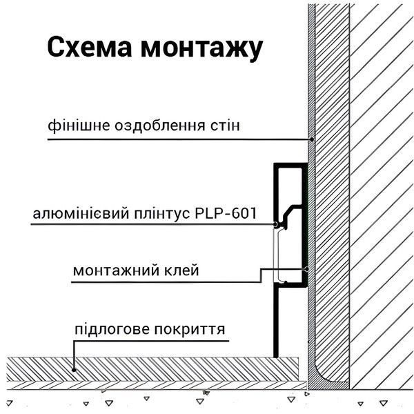 Комплект профіль-плінтус алюмінієвий Biom PLP-601 60х10мм анодований 2м із розсіювачем PLP-601+ LM-U фото
