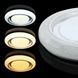 Смарт люстра Biom SMART SML-R11-80 (80 Вт) з пультом та регулюванням світла SML-R11-80/2 фото 3