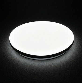 LED світильник накладний Biom DL-R104-18 (18 Вт) 5000K DL-R104-18-6 фото
