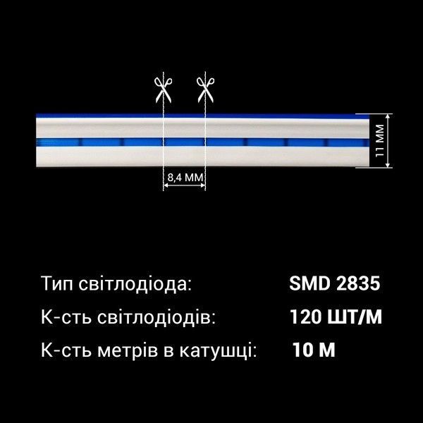 Світлодіодний неон Biom BNSP 24V IP65 12W/м Синій BNSP-24-511-2835-120-B-1 фото