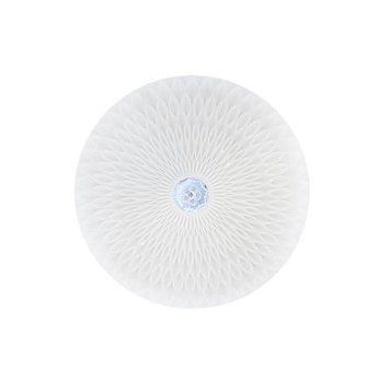 Світильник накладний стельовий "RADIUS-36" 36 W 6400 K білий 027-012-0036-010 фото