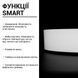 Смарт люстра Biom SMART SML-R43-80-2 (80 Вт) с пультом и регулировкой света SML-R43-80/2 фото 6