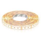 Світлодіодна стрічка Biom ST-12-2835-120-DCCT-20-3CCT (12V, 120 д/м, IP20) Регульована ST-12-2835-120-DCCT-20 фото