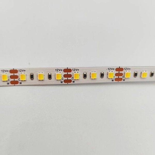 Светодиодная лента Biom ST-12-2835-120-DCCT-20-3CCT (12V, 120 д/м, IP20) Регулируемая ST-12-2835-120-DCCT-20 фото