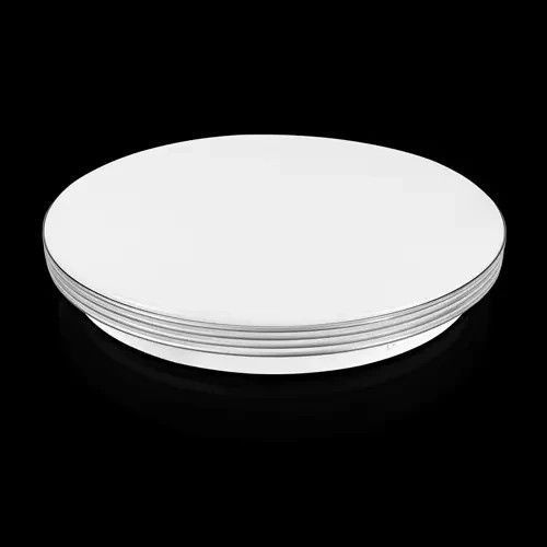 Декоративная лента DS-R330-08-4S к светильнику Biom DEL-R-20-24-4 DIY(4 сереб. полоски) DS-R330-08-4S фото