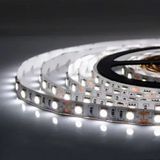 Светодиодная лента Biom ST-12-2835-120-B-20 (12V, 120 д/м, IP20) Синяя ST-12-5050-60-CW-20-V2 фото