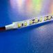 Светодиодная лента Biom ST-50-12-2835-120-WW-20 (12V, 120 д/м, IP20) 50м Теплая белая SMD-2835-ROLL-WW фото 2