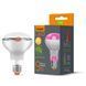 LED лампа VIDEX Filament R80FF 09W E27 1200K VL-R80FF-09271 фото 1