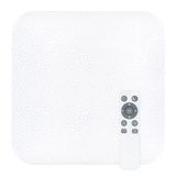 Світлодіодний смарт-світильник Biom SMART SML-S01-50/2 50W з пультом SML-S01-50/2 фото