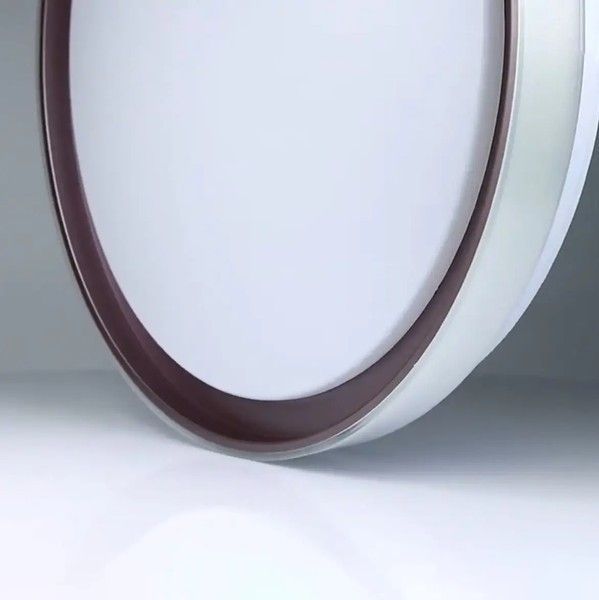 Смарт люстра Biom SMART SML-R48-50-2 (50 Вт) з пультом та регулюванням світла SML-R48-50/2 фото