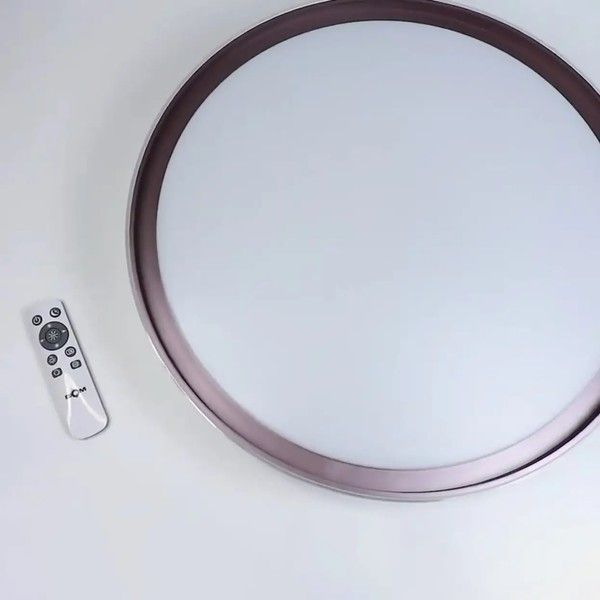 Смарт люстра Biom SMART SML-R48-50-2 (50 Вт) з пультом та регулюванням світла SML-R48-50/2 фото