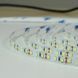 Светодиодная лента Biom Professional BPS-G3-24V-2835-120-NW 24V Нейтральная BPS-G3-24-2835-120-NW-20 фото 4