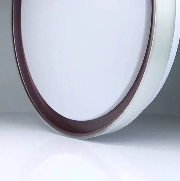 Смарт люстра Biom SMART SML-R48-80-2 (80 Вт) с пультом и регулировкой света SML-R48-80/2 фото