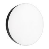 LED светильник накладной Biom 24W 5000K IP40 круглый черный (NL-2-R24-B-5) NL-2-R24-B-5 фото