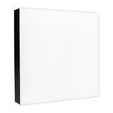 LED світильник накладний Biom 18W 5000K IP40 квадратний чорний (NL-2-S18-B-5) NL-2-S18-B-5 фото