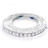 Світлодіодна стрічка 5мм Biom Professional BPS-G3-12-5-2835-120-CW-20 (12V, 120 д/м, IP20) Холодна біла BPS-G3-12-2835-120-CW-20 фото